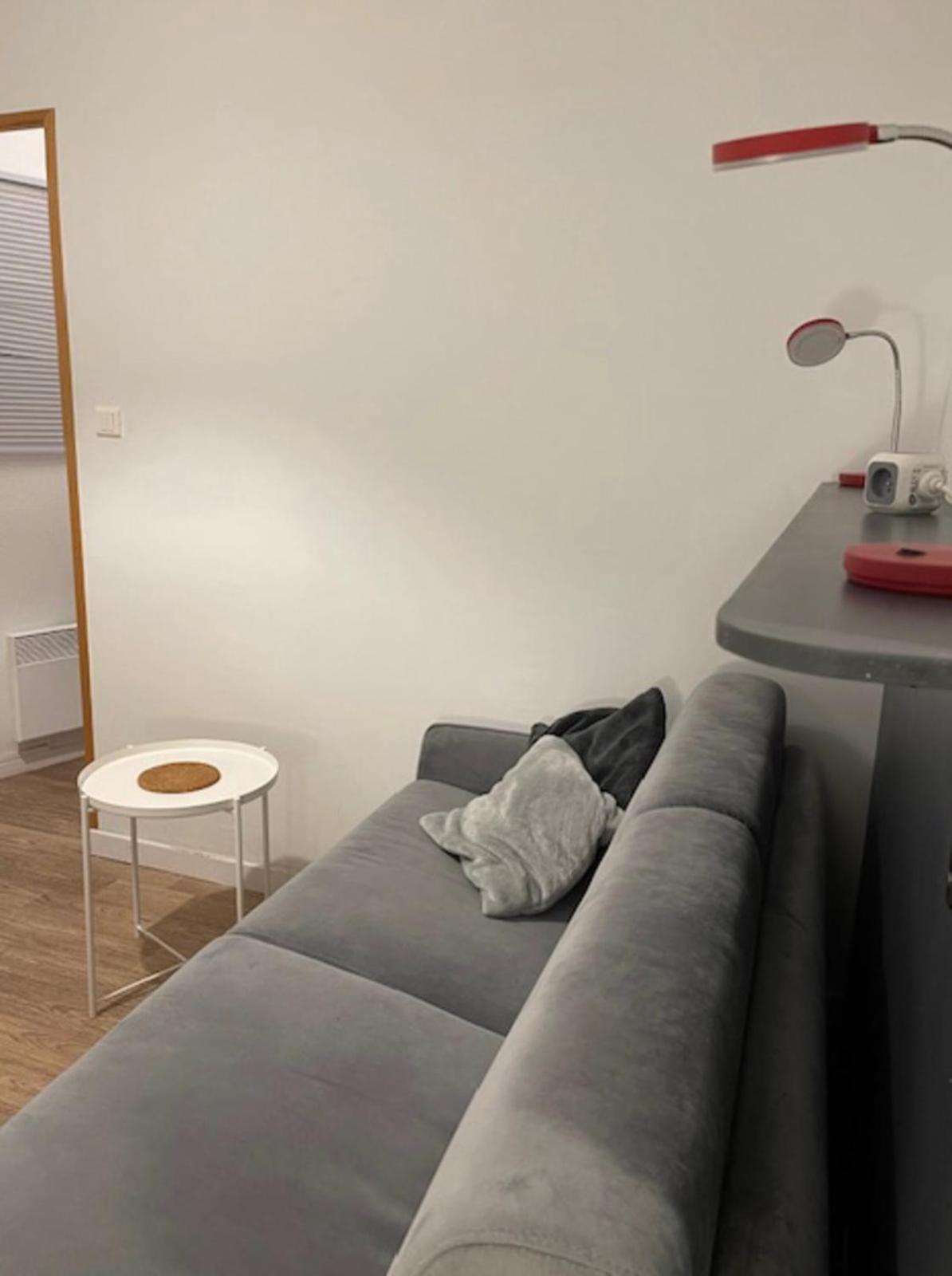 Cosy Studio 16M2 Lione Esterno foto